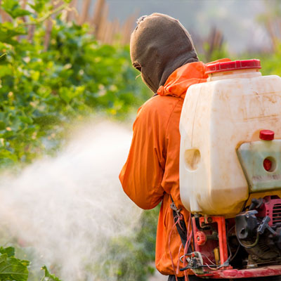 Pesticide Poisoning in Monterey: What Went Wrong and What Comes Next ...