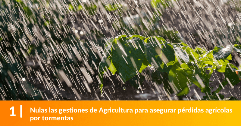 Nulas las gestiones de Agricultura para asegurar pérdidas agrícolas por tormentas.