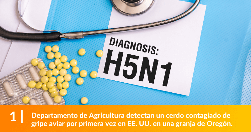 Departamento de Agricultura detectan un cerdo contagiado de gripe aviar por primera vez en EE. UU. en una granja de Oregón.