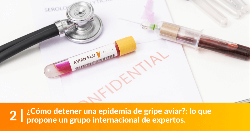 ¿Cómo detener una epidemia de gripe aviar?: lo que propone un grupo internacional de expertos.