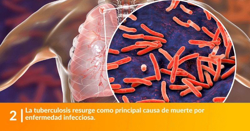 La tuberculosis resurge como principal causa de muerte por enfermedad infecciosa.