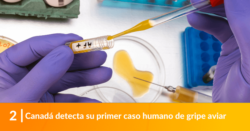 Canadá detecta su primer caso humano de gripe aviar. 