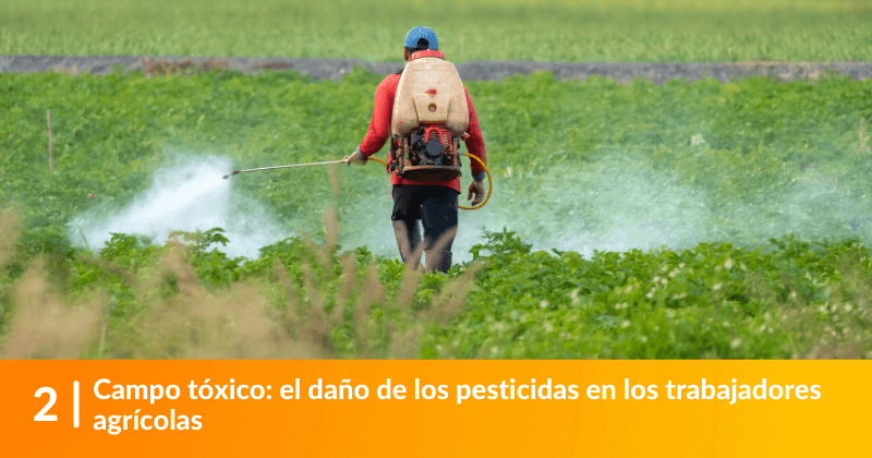 Campo tóxico: el daño de los pesticidas en los trabajadores agrícolas.