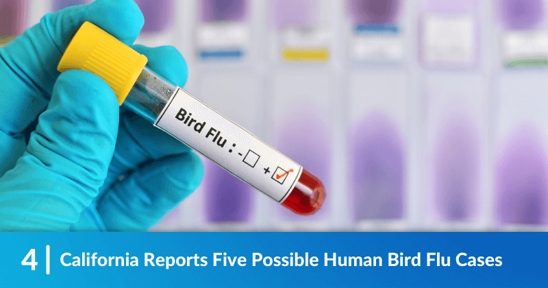 A gloved hand holding a vial that says, "Bird Flu". The heading reads, "California Reports Five Possible Human Bird Flu Cases"