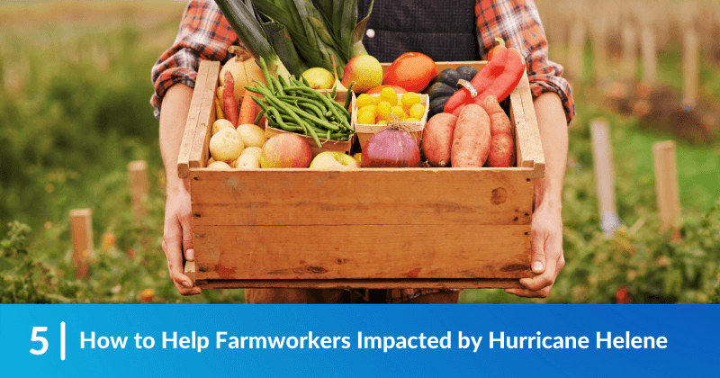 A person holding a crate filled with fruits and vegetables. Heading reads, "How to Help Farmworkers Impacted by Hurricane Helene"