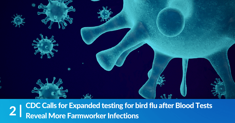 Digital representation of the bird flu virus. Heading reads,  CDC Calls for Expanded testing for bird flu after Blood Tests Reveal More Farmworker Infections.