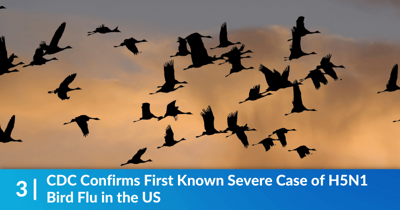 A group of birds flying across the sky. The heading reads, CDC Confirms First Known Severe Case of H5N1 Bird Flu in the US.