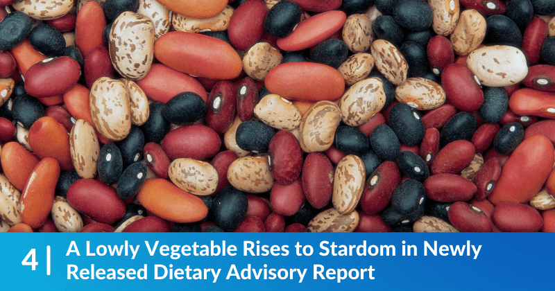 A spread of pinto, black, kidney beans and more. Heading reads, A Lowly Vegetable Rises to Stardom in Newly Released Dietary Advisory Report.