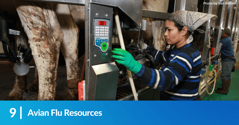 A woman in a dairy facility. Heading reads, Avian Flu Resources.