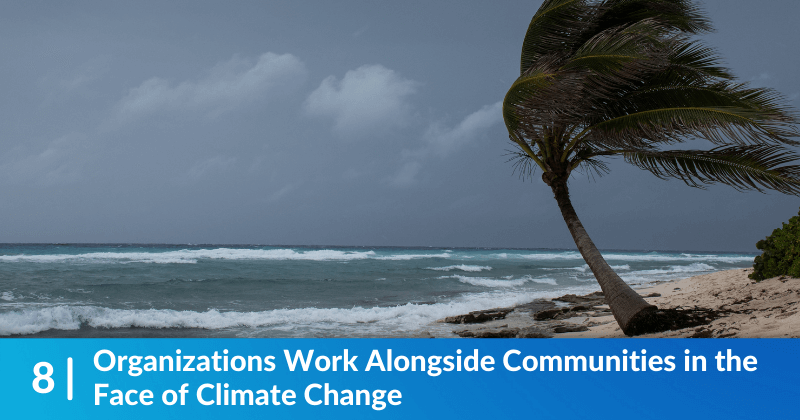 A beach, the sky is dark, cloudy, and gray; a palm tree with its fronds waving indicate that it is windy. The heading reads, Organizations Work Alongside Communities in the Face of Climate Change.