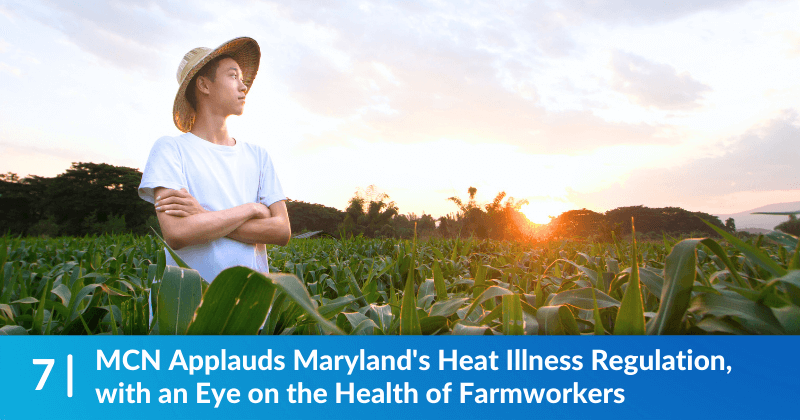 A man in a hat standing in a corn field, the sun is setting. Heading reads, MCN Applauds Maryland's Heat Illness Regulation, with an Eye on the Health of Farmworkers.