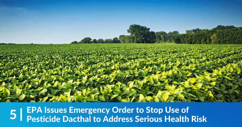 View of a crop field - headline says "EPA Issues Emergency Order to Stop Use of Pesticide Dacthal to Address Serious Health Risk"