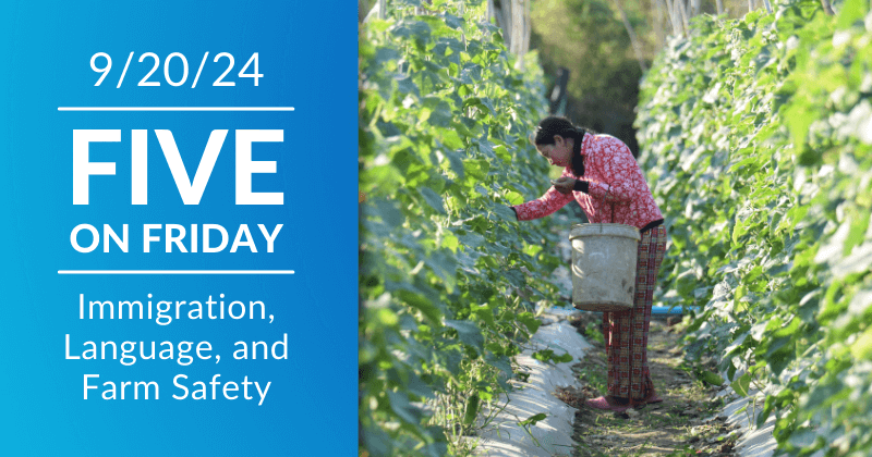 Five on Friday header image, woman between two tall rows of crops, gathering them into a large bucket.