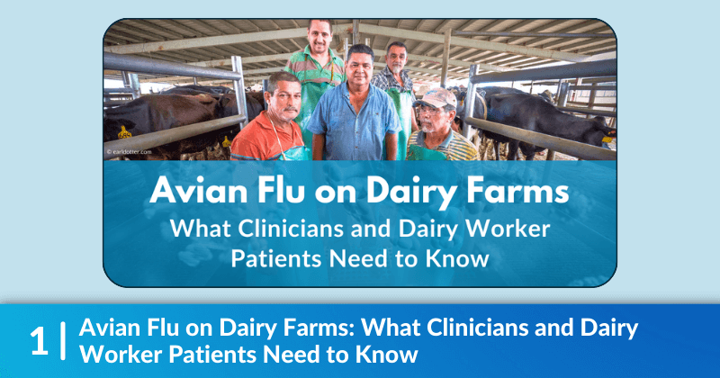 Banner image for the "Avian Flu on Dairy Farms: What Clinicians and Dairy Worker Patients Need to Know", a group of men standing among cattle.