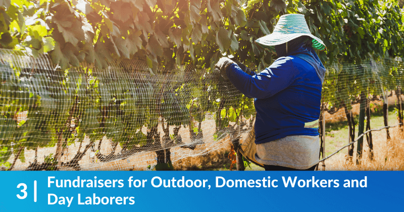 A worker among the grape vines. Heading reads, "Fundraisers for Outdoor, Domestic Workers and Day Laborers".