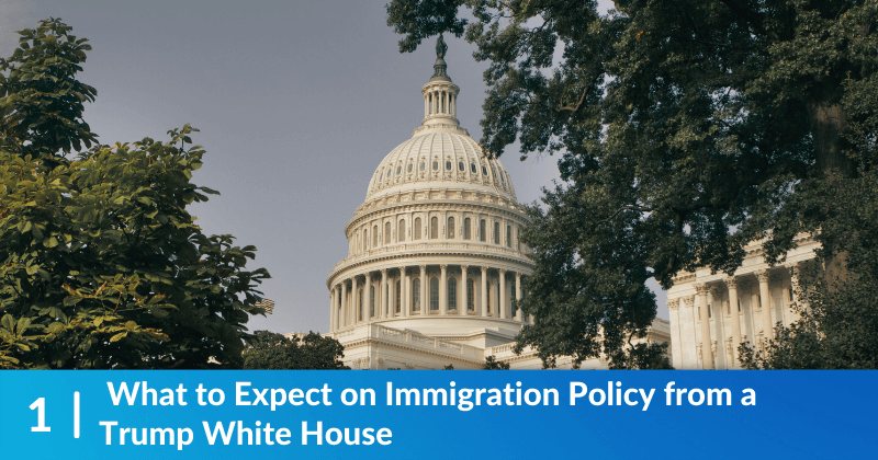 A view of the White House through trees, the sky is gray. Heading reads, What to Expect on Immigration Policy from a Trump White House. "