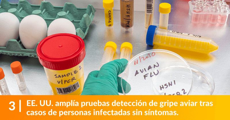 EE. UU. amplía pruebas detección de gripe aviar tras casos de personas infectadas sin síntomas.