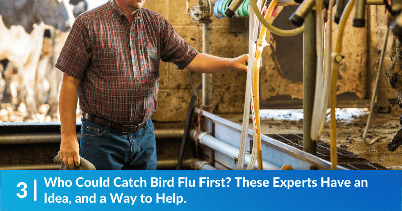 Who Could Catch Bird Flu First? These Experts Have an Idea, and a Way to Help.