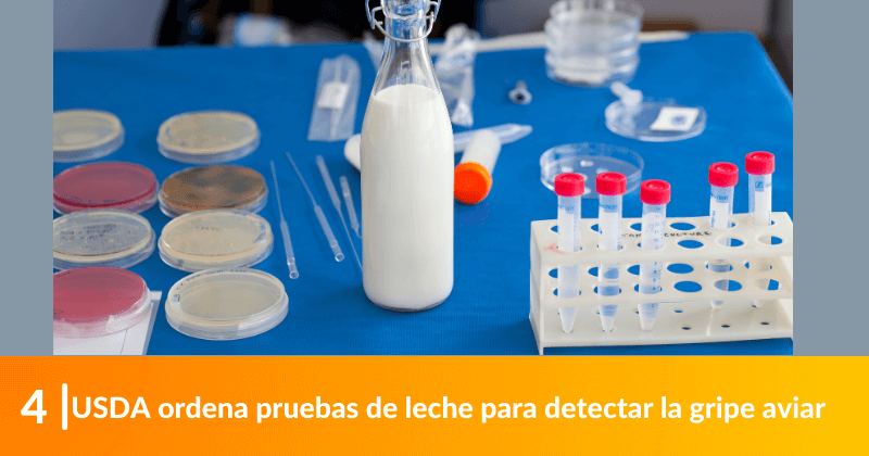 USDA ordena pruebas de leche para detectar la gripe aviar.