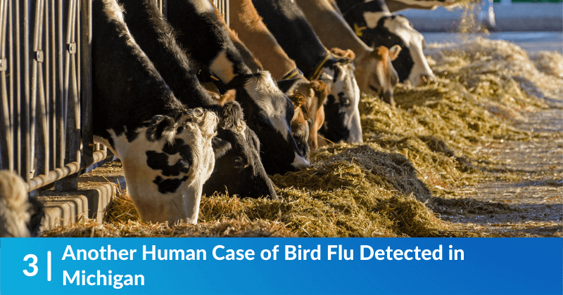 Another Human Case of Bird Flu Detected in Michigan