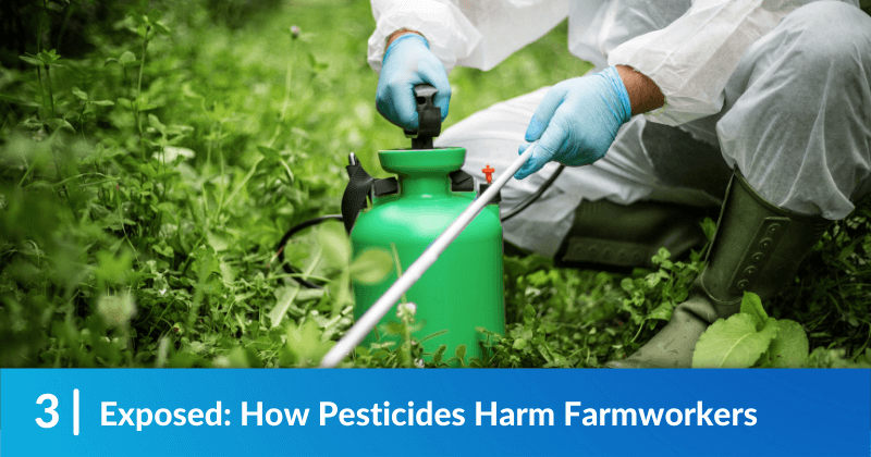 Exposed: How Pesticides Harm Farmworkers