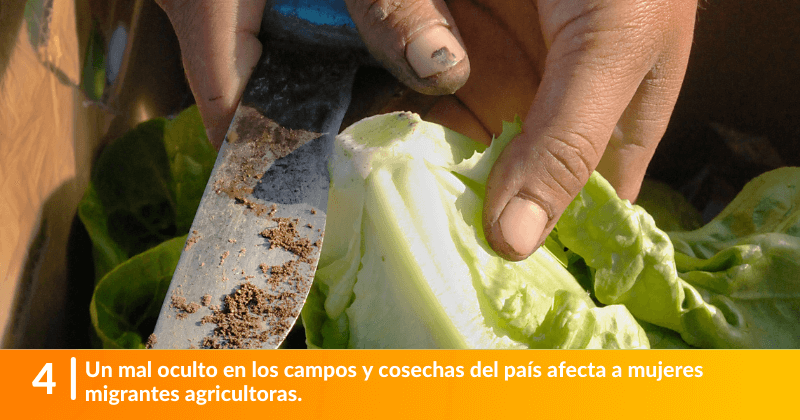 Un mal oculto en los campos y cosechas del país afecta a mujeres migrantes agricultoras.