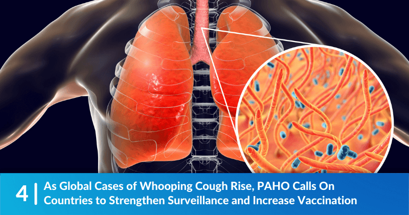 Graphic of lungs with Whooping Cough - headline says "As Global Cases of Whooping Cough Rise, PAHO Calls On Countries to Strengthen Surveillance and Increase Vaccination"