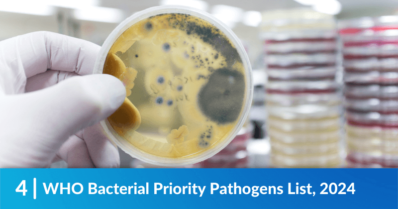 WHO Bacterial Priority Pathogens List, 2024
