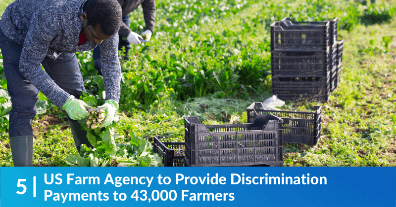 Men Farming - headline says "US Farm Agency to Provide Discrimination Payments to 43,000 Farmers"