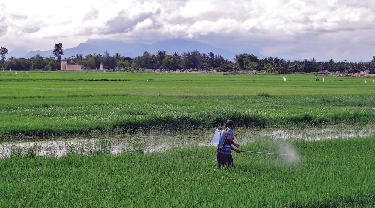 Emerging Concerns About Pesticides and Agricultural Worker Health