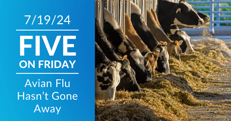 Five on Friday: Avian Flu Hasn't Gone Away