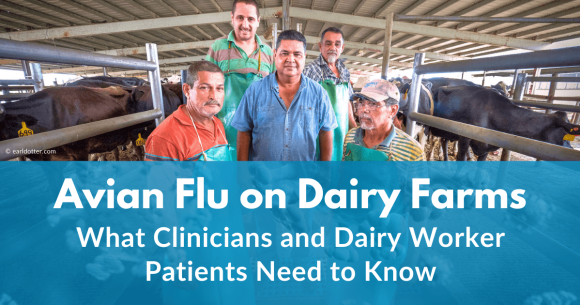 Avian Flu on Dairy Farms: What Clinicians and Dairy Worker Patients Need to Know